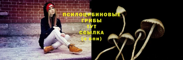 мдпв Сосновоборск