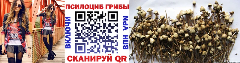 мега ссылки  Белорецк  Псилоцибиновые грибы мухоморы  купить  